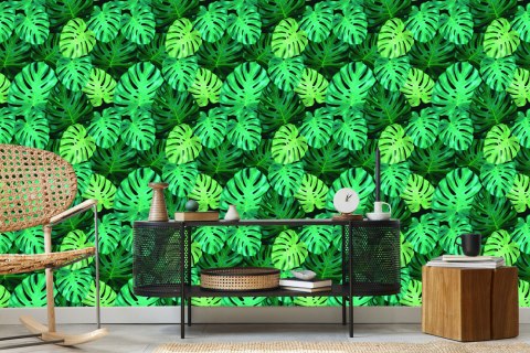 Tapeta Liście Monstery