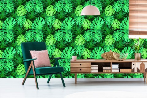 Tapeta Liście Monstery