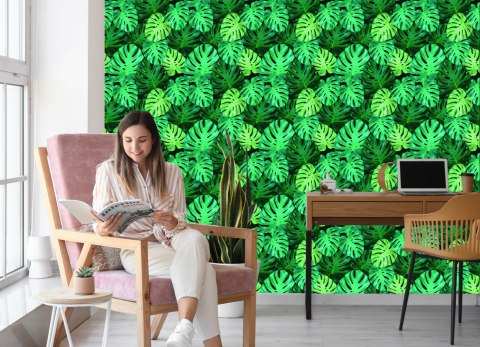 Tapeta Liście Monstery