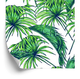 Tapeta Liście Palmowe