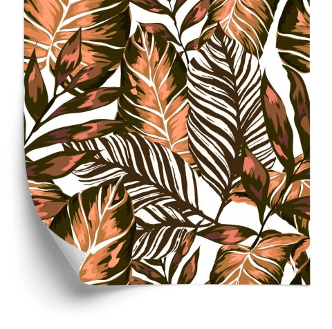 Tapeta Liście Palmy, Marakui I Monstery