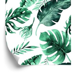 Tapeta Piękne Egzotyczne Liście