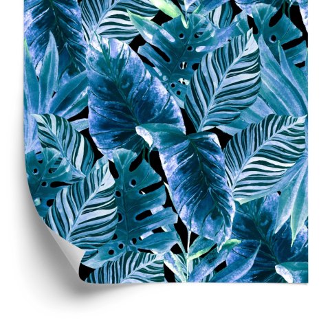 Tapeta Tropikalne Rośliny W Nowym Wydaniu