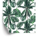 Tapeta Las Palmy Przyroda Do Salonu, Sypialni