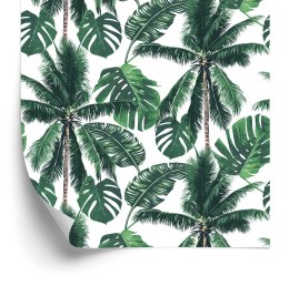 Tapeta Las Palmy Przyroda Do Salonu, Sypialni