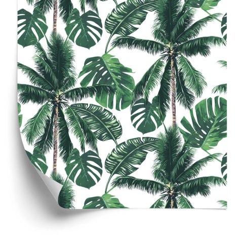 Tapeta Las Palmy Przyroda Do Salonu, Sypialni