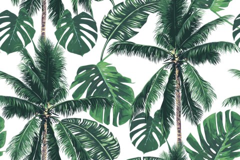 Tapeta Las Palmy Przyroda Do Salonu, Sypialni