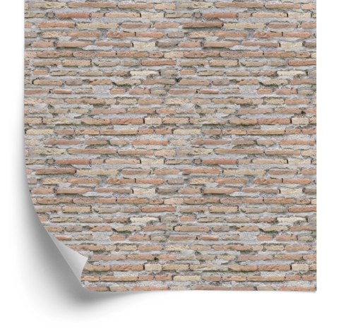 Tapeta Stare Cegiełki Cegły Mur Efekt 3D