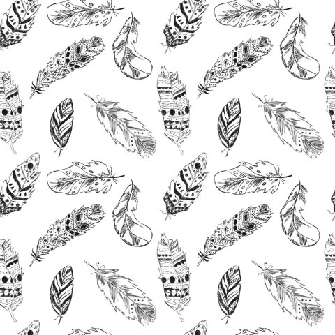 Tapeta Czarno-Białe Pióra