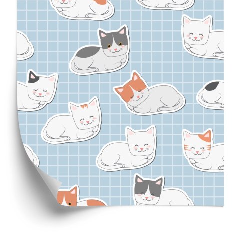 Tapeta Dla Dzieci - Kotki