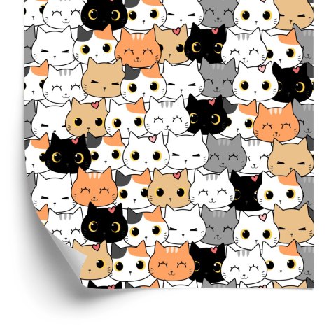 Tapeta Dla Dzieci - Małe Kolorowe Kotki