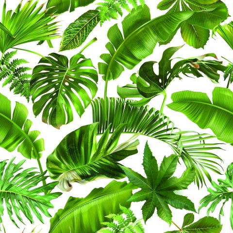 Tapeta Liście Tropikalne