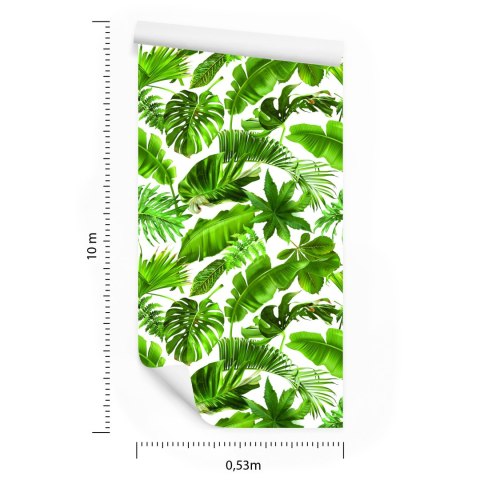 Tapeta Liście Tropikalne