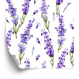 Tapeta Fioletowe Kwiaty