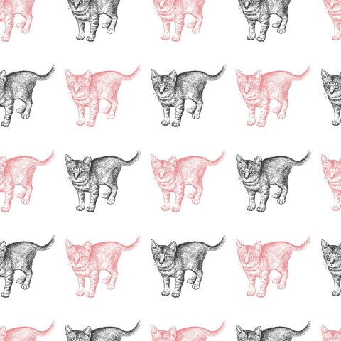Tapeta Pastelowe Koty