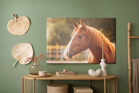 Obraz Na Płótnie Koń Na Wybiegu