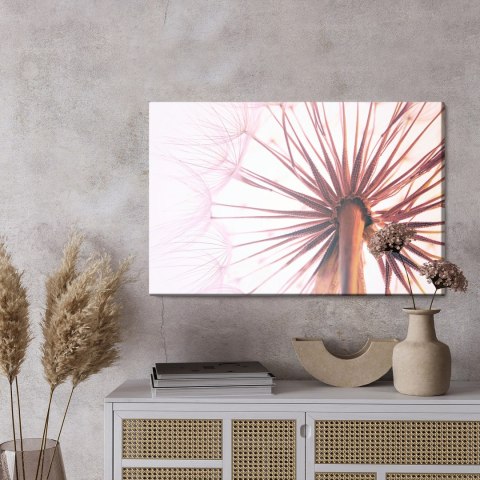 Obraz Na Płótnie Nasiona Dmuchawca