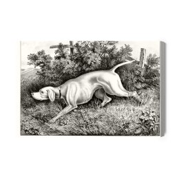 Obraz Na Płótnie Pies Myśliwski