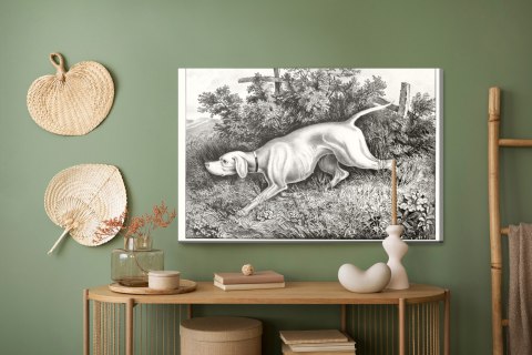 Obraz Na Płótnie Pies Myśliwski