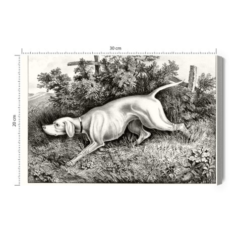 Obraz Na Płótnie Pies Myśliwski