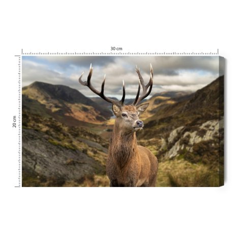 Obraz Na Płótnie Jeleń Na Tle Gór