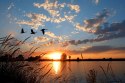 Obraz Na Płótnie Ptaki O Zachodzie Słońca