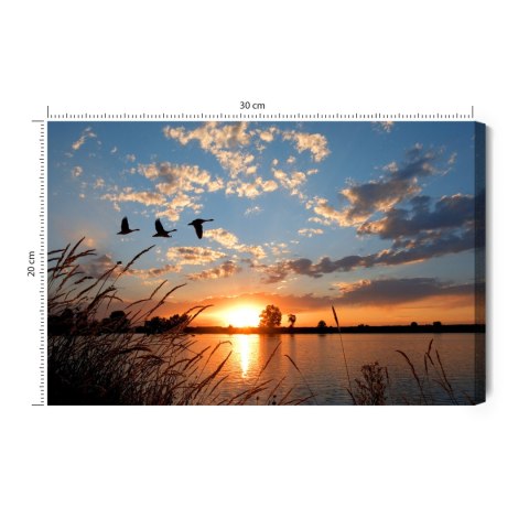 Obraz Na Płótnie Ptaki O Zachodzie Słońca