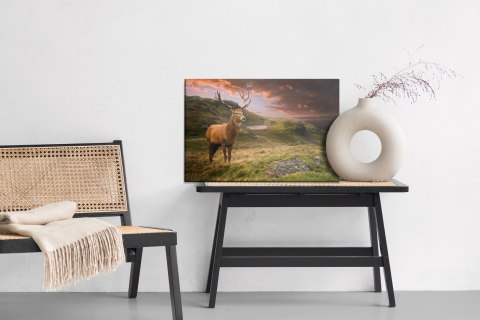 Obraz Na Płótnie Jeleń Na Tle Pochmurnego Nieba