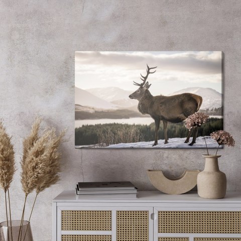 Obraz Na Płótnie Jeleń Na Tle Zimowego Krajobrazu