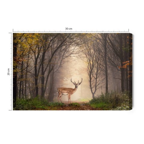 Obraz Na Płótnie Jeleń Pośrodku Lasu