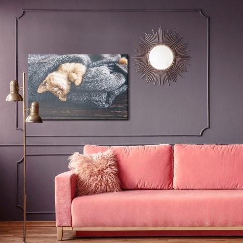 Obraz Na Płótnie Śpiący Rudy Kotek