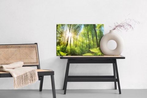 Obraz Na Płótnie Wschód Słońca W Zielonym Lesie