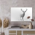Obraz Na Płótnie Jeleń W Czerni I Bieli