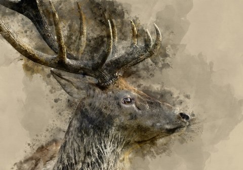 Obraz Na Płótnie Majestatyczny Jeleń