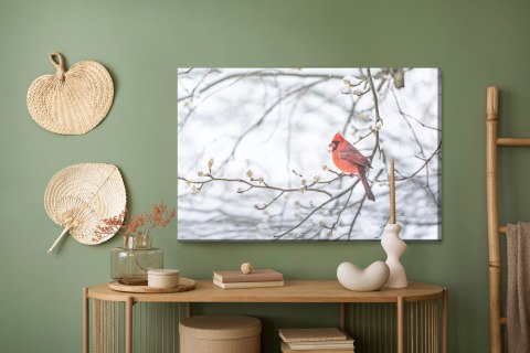Obraz Na Płótnie Czerwony Ptak