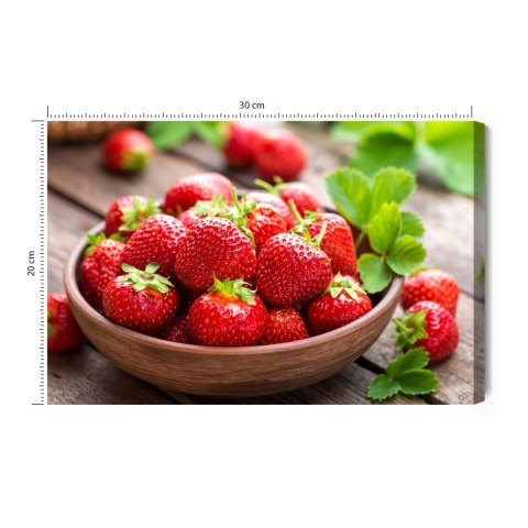 Obraz Na Płótnie Miska