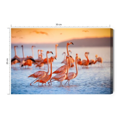 Obraz Na Płótnie Ptaki Flamingi