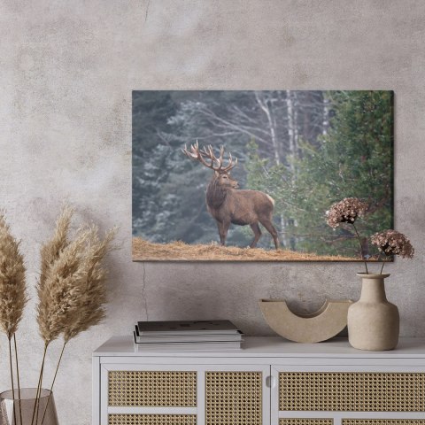 Obraz Na Płótnie Okazały Jeleń W Lesie