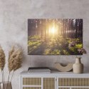 Obraz Na Płótnie Promienie Słoneczne W Lesie
