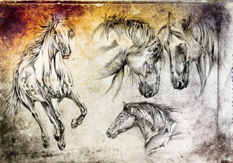 Obraz Na Płótnie Konie Jak Naszkicowane