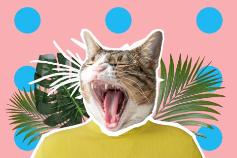 Obraz Na Płótnie Kot I Liście - Styl Pop Art