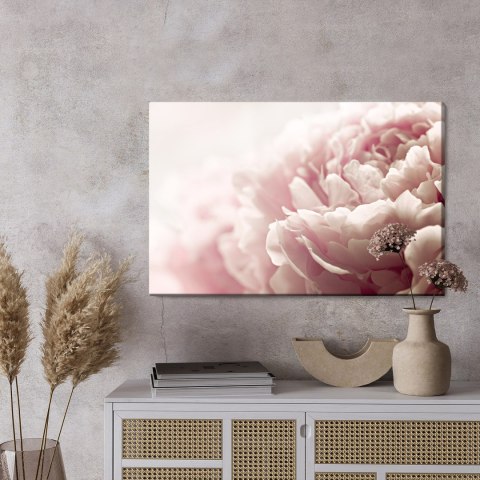 Obraz Na Płótnie Pastelowe Kwiaty Piwonii