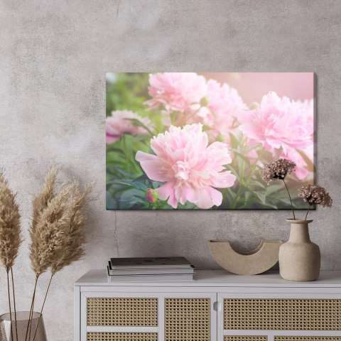 Obraz Na Płótnie Piwonie W Słońcu