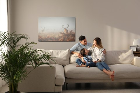 Obraz Na Płótnie Jelenie We Mgle