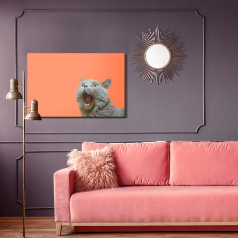 Obraz Na Płótnie Kot Brytyjski