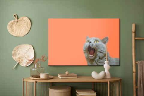 Obraz Na Płótnie Kot Brytyjski