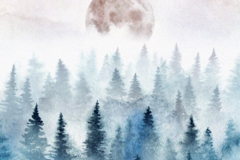 Obraz Na Płótnie Księżyc Nad Zamglonymi Drzewami