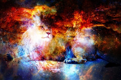 Obraz Na Płótnie Lew W Przestrzeni Kosmicznej