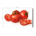 Obraz Na Płótnie Pomidory Malowane Akwarelą