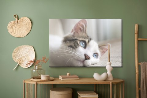 Obraz Na Płótnie Rozmarzony Kotek